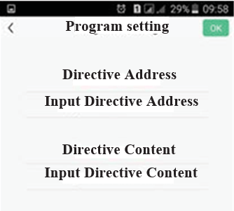 Input directive Input directive